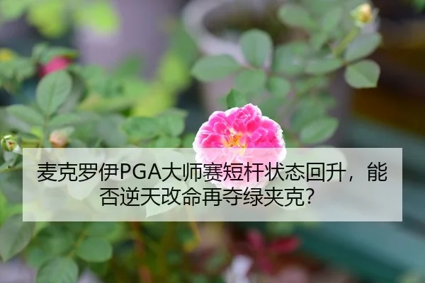 麦克罗伊PGA大师赛短杆状态回升，能否逆天改命再夺绿夹克？