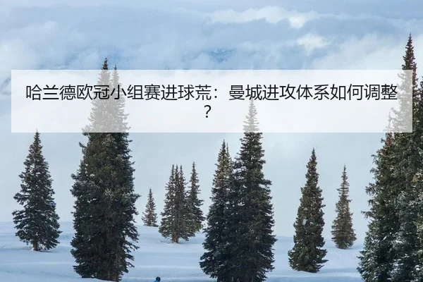 哈兰德欧冠小组赛进球荒：曼城进攻体系如何调整？