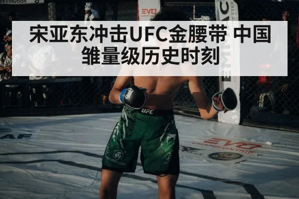 宋亚东冲击UFC金腰带 中国雏量级历史时刻
