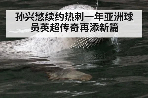 孙兴慜续约热刺一年亚洲球员英超传奇再添新篇