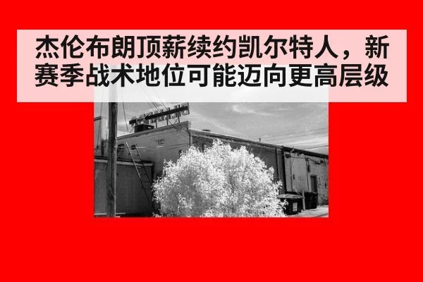 杰伦布朗顶薪续约凯尔特人,新赛季战术地位可能迈向更高层级