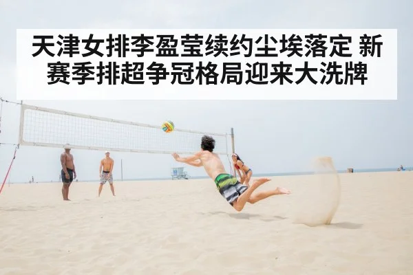 volleyball net action